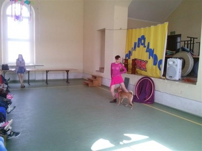 CAM01719 (Small)