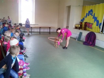CAM01724 (Small)