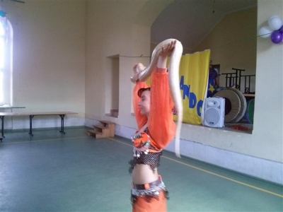 CAM01748 (Small)