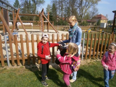 P4250463 (Small)