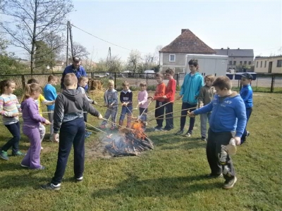 P4250465 (Small)